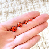 Ladybug stud earrings by Ear Sugar hypoallergenic made in the USA